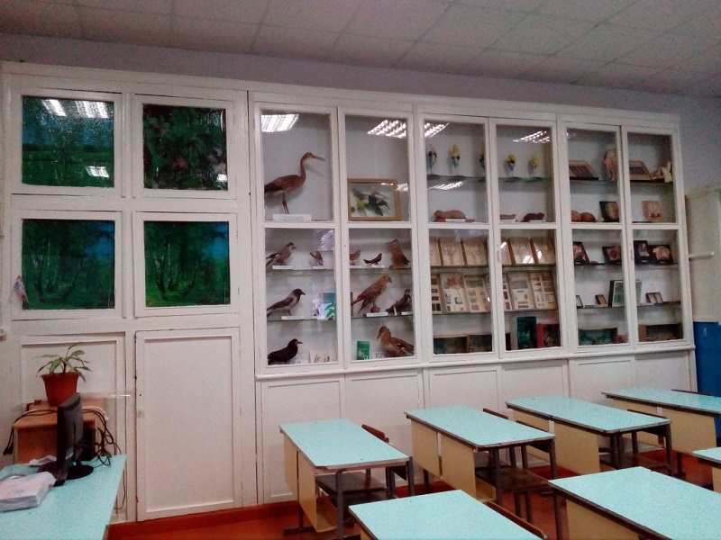 Шкаф с коллекциями, гербариями в кабинете биологии