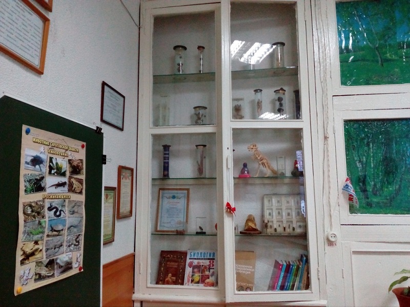 Шкаф с коллекциями, гербариями в кабинете биологии